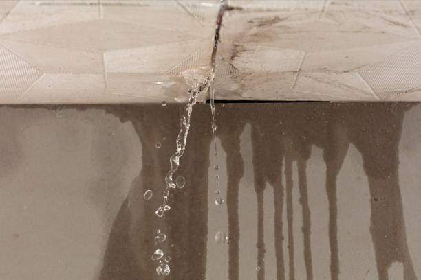 Professional Sewage Cleanup technician working in Temple Hills, MD